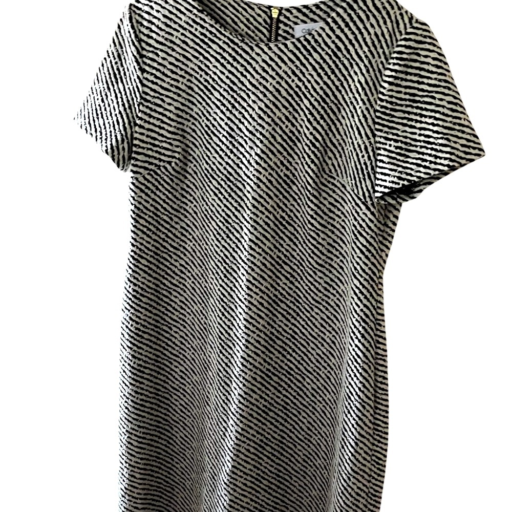 Calvin Klein Black and White Dress Size 8 NWOT